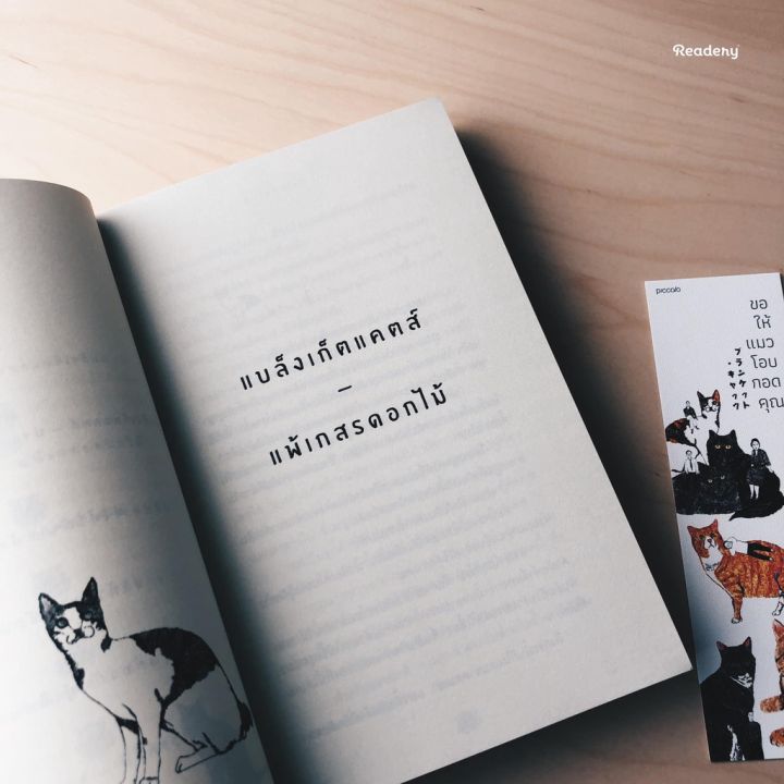 readery-ขอให้แมวโอบกอดคุณ-หนังสือ-โดย-kiyoshi-shigematsu-บริการเก็บเงินปลายทาง
