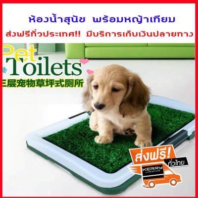 ส่งฟรี ห้องน้ำสุนัข ห้องน้ำสัตว์เลี้ยง ถาดฝึกฉี่ แผ่นรองฉี่ Dog Toilet Pad พร้อมหญ้าเทียม สำหรับฝึกให้สุนัขขับถ่าย รุ่น HT-0589