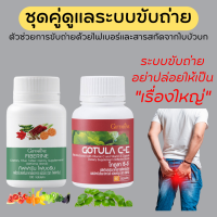 (ส่งฟรี) ชุดอาหารเสริม ระบบขับถ่าย ริดสีดวง สารสกัดจากใบบัวบก และ ไฟเบอร์ GOTURA C-E &amp; FIBERINE