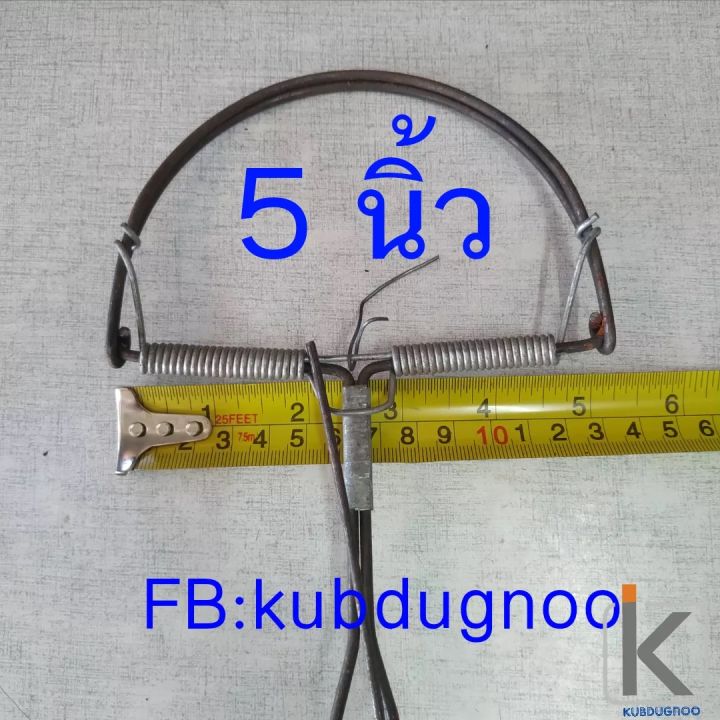 กับดักหนู-แบบตี-รุ่น-5-นิ้ว-ได้-10-อัน