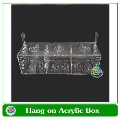 กล่องอคริลิคแยกเลี้ยงปลา กุ้ง ในตู้ปลาใหญ่  แบบแขวน 3 ช่อง Acrylic Aquarium Fish Tank Box Hang On