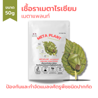 เมธาไรเซียม (50g) กำจัดแมลงศัตรูพืช ออร์แกนิคแท้ เพาะเชื้อในห้องLAB100% ปลอดภัยต่อผู้ใช้และสัตว์เลี้ยง