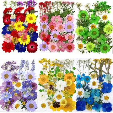 6pcs Mini Dried Flowers For Crafts, Dried Flowers With Stems For Crafts  Bulk, Wildflower Party Decor For DIY Photo Props Gift