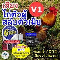 ✨โปรสุดคุ้ม (MP3 เสียงต่อสัตว์) เสียงไก่ผู้+เมียV.1 [6ชั่วโมง] ใส่แฟลชไดร์ฟ/เมมโมรี มี เสียงดี ชัด100% ไม่มีโฆษณาแทรก Wow สุด แฟลชไดรฟ์เพลง