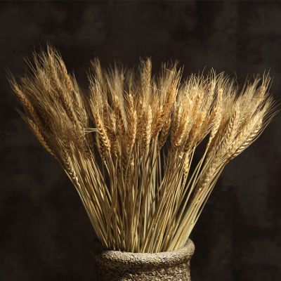 【CC】 50PCS Real Dried Stalks Bouquets Ear of Grain Arrangements Wedding Dining Table