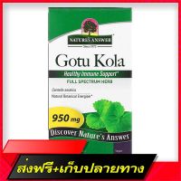 Fast and Free Shipping Natures Answer Gotu Kola 90 MG 90 Vegetarian Capsules Ship from Bangkok