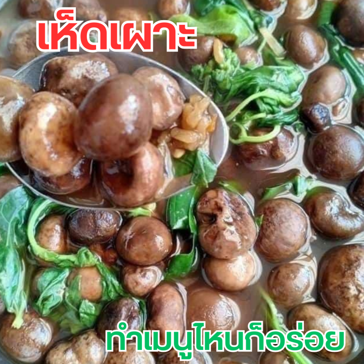 เห็ดเผาะ-คัดอ่อน-ต้มแล้ว-1-กิโล