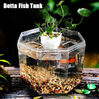 เดสก์ท็อป Betta Fish Tank สี่กริดอะคริลิคแยกกล่องถังปลาประดับ Mini Aquarium Breeding ตกแต่งสำนักงาน