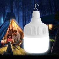 Portable Tent Lamp Battery Lantern BBQ Camping Light Outdoor Bulb USB LED Emergency Lights for Patio Porch Garden