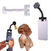 Cat Dog Selfie Stick 360-Degree Rotation Portable Pet Interaction Toys Outdoor Traveling Photography Trainer Dog Essories