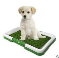ถาดฝึกฉี่ แผ่นรองฉี่ ห้องน้ำสุนัข Dog Toilet Pad พร้อมหญ้าเทียม สำหรับฝึกให้สุนัขขับถ่าย รุ่น