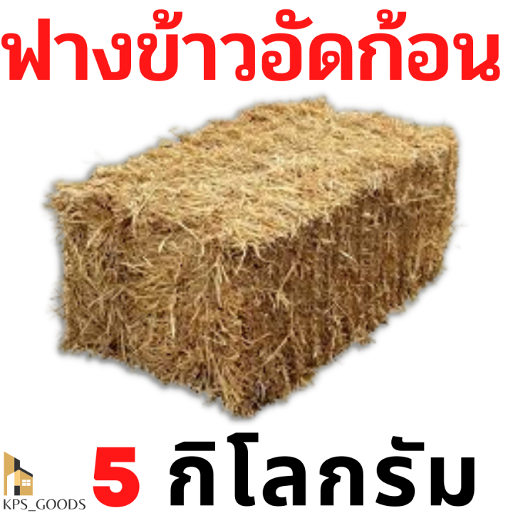 ฟาง-ฟางอัดก้อน-ฟางข้าว-1-กิโลกรัม-9-บาท-ส่งจากนครปฐม-ราคาหน้าสวน-สวนมาเอง-ไม่ชื้น-ไม่เก่า-ไม่ขึ้นรา-ค่าส่งไม่แพง