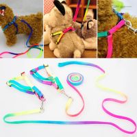 Rainbow Color Dog Leash Leash Harness Collar Lead