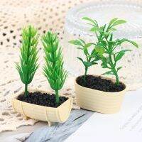 【cw】 Dollhouse Pot Miniature Potted Ornament Decoration Kid ！