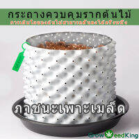 เซท (10ชิ้น) กระถางควบคุมรากต้นไม้ airpot Seedling container rapid seedling สำหรับปลูกต้าไม้ สำหรับเพาะชำ สีขาว 40*40cm