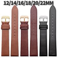 Watchbands for Armani Ar1674/1675/1676/1677/1819/9042 Thin Soft Leather Watch Strap Womens Watch Band 12mm 14mm 16mm 18mm 【BYUE】