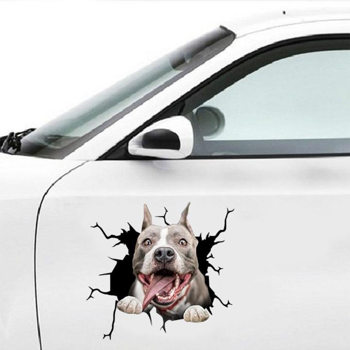 6ชิ้นสติกเกอร์ติดรถลาย3d-สุนัขสัตว์เลี้ยงแตกสติกเกอร์ติดรถยนต์ลายสุนัขแบบทำมือสติกเกอร์ท้ายรถท้ายรถรูปลอกสัตว์เลี้ยงแต่งรถ