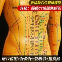 Acupuncture acupoints mannequin doll medical body twelve meridians figure pills practice small skin model