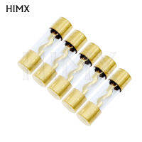 5pcs Gold Plated 10x38 มม.แก้ว AGU เครื่องเสียงรถยนต์ Amp เครื่องขยายเสียง 10A 15A 20A 25A 30A 40A 50A 60A 70A 80A 100A-hexinge