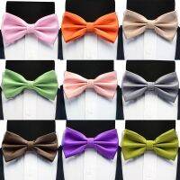 Ricnais Silk Solid Pre-tied Bow Tie for Men Green Orange Brown Double Fold Bowknot Waterproof Wedding Business Bowtie Accessory Nails Screws Fasteners