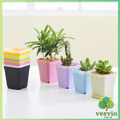 Veevio กระถางต้นไม้พลาสติก พร้อมถาดรอง กระถางขนาดเล็ก  Plastic flowerpot  มีสินค้าพร้อมส่ง