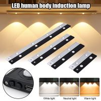 hot！【DT】 Night Sensor Ultra Thin USB for Cabinet Bedroom Wardrobe Indoor Lighting 20/30/40/50CM