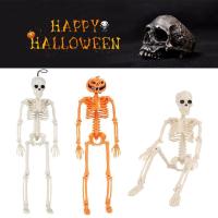 Halloween Simulation Skeleton Model Plasti Human Skeleton With Chin Art Complete Decoration Spine Arms Head Party Include Movable Ribs Legs G6Y5