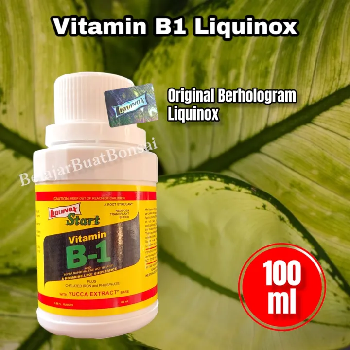 Vitamin B1 Tanaman 100ML Liquinox Start Original | Lazada Indonesia