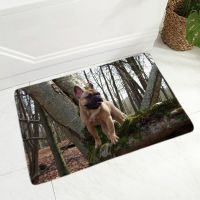 MINI French Bulldog Pet Dog Doormat Decor Cute Animal Floor Door Mat Non-Slip Soft Flannel Carpet for Hallway Bedroom 40x60cm