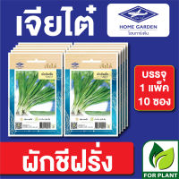 เมล็ดพันธุ์ ผักซอง ผักชีฝรั่ง ตราเจียไต๋ บรรจุแพ็คล่ะ 10 ซอง ราคา 70 บาท