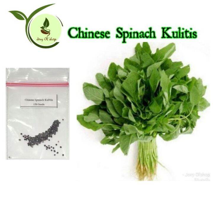 50 seeds of Chinese spinach | Lazada PH