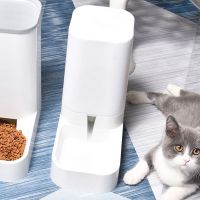 Pet Automatic Feeder No-Spill Cats Dog Water Dispenser for Puppy Cat Self-Dispensing Drinking Water Bowl Fountain Pet Supply C42