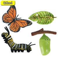 Kids Cognitive Educational Toys Simulation Animal Insect Model Mini Animal Butterfly Growth Cycle Ornaments