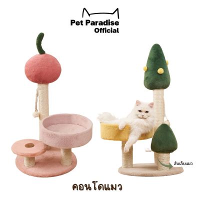 PetParadise.th คอนโดแมว ลับเล็บเเมว อุปกรณ์สำหรับแมวตัวเล็ก หอแมว เสาลับเล็บแมว