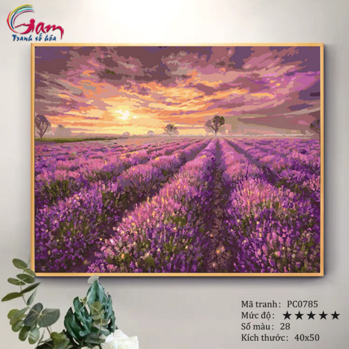 Tranh sơn dầu số hóa tô màu theo số Gam Tranh phong cảnh cánh đồng hoa oải  hương lavender màu tím PC0785 