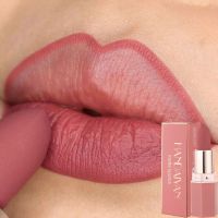 6 Colors Matte Waterproof Long Lasting Velvet Lipstick Sexy Red Nude Pigments Makeup Profissional Lip Make Up Lipstick Cosmetic