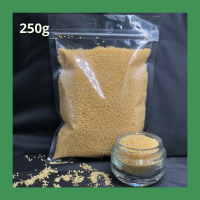 ข้าวฟ่าง ออแกนิค ฟ่างหางม้า 250 กรัม Organic foxtail millet 250g