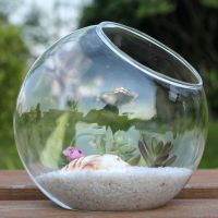 1PCS Transparent Oblique Spherical Glass Vase Hydroponic Fleshy Micro Landscape Glass Bottle Moss Home Decoration