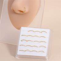 20 PCS Twisted Design Gold Color Nose Rings for Women Men Inner Diameter 8mm Box Set Body jewellery