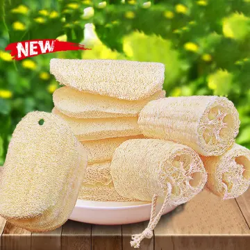 Kitchen Cleaning Brush Pot Dishwashing Tools Decontamination Dish Bowl Pot  Washing Brush Degradable Fiber Household Accessories