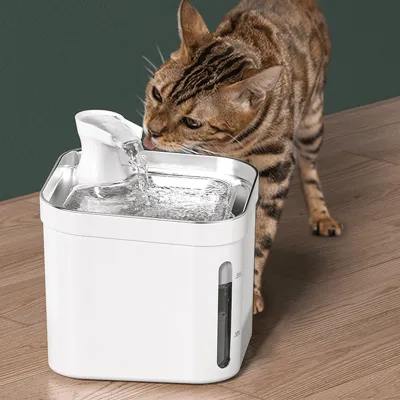 น้ำพุแมวอัตโนมัติพร้อมที่กรองเครื่องดื่มสำหรับสัตว์เลี้ยงอุปกรณ์ USB ไฟฟ้าเสียงเงียบป้อนน้ำสุนัขถังใส่น้ำดื่มที่มีก๊อกน้ำเซ็นเซอร์