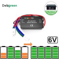 With Led QNBBM 6V Lead Acid Battery Equalizer Balancer BMS Flooded AGM GELL Battery Anti-vulcanizationAnti-corossion 1pcs