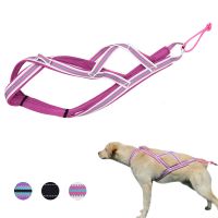 ❐►❁ Sled Pulling Harness Dogs