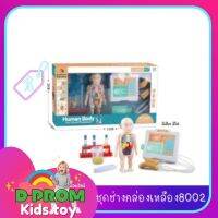 ของเล่นชุดหมอ x-rayร่างกายแบบกล่อง