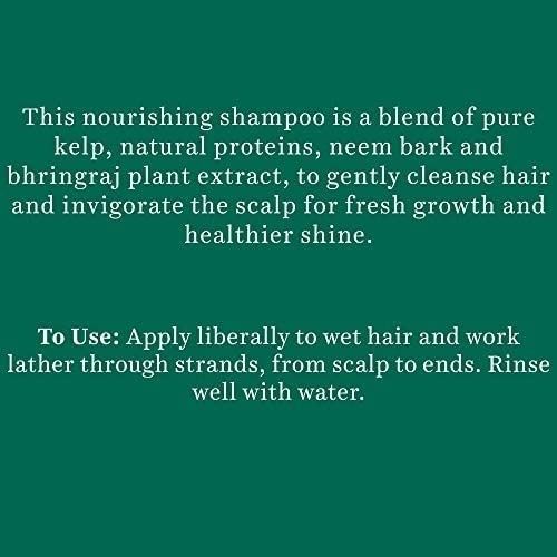 biotique-anti-hair-fall-ocean-kelp-shampoo-intensive-hair-regrowth-treatment-ลดผมขาดร่วง-เร่งผมยาว-190ml