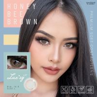 ราคาพิเศษษ** คอนแทคเลนส์Mini Honey Bee Brown (Luxzylens) ขนาดมินิขายดี ราคาถูก คอนเทนเลนส์ คอนเทคเลนสายตา คอนเทคเลนตาโต แฟชั่น แว่น เลนส์ แว่นสายตา แว่นกันแดด