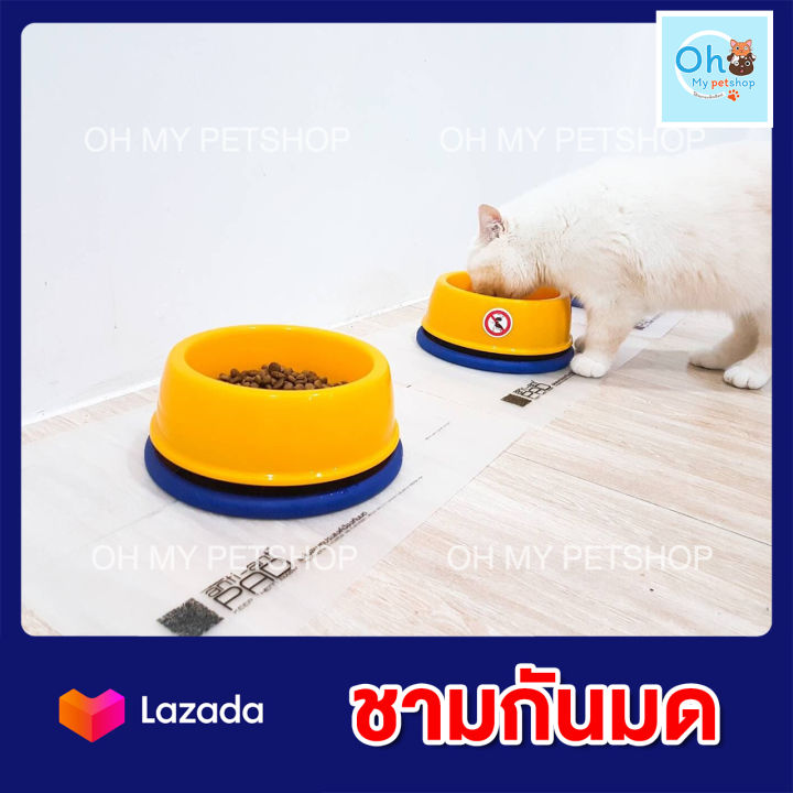 ชามกันมด-กันมด-สำหรับสัตว์เลี้ยง-no-ant-pet-bowl