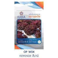 &amp;lt;รับประกันความงอก&amp;gt; เมล็ดพันธุ์ ผักสลัด เรดคอรอล สึนามิ ผักคุณภาพ ตราจุยเจีย