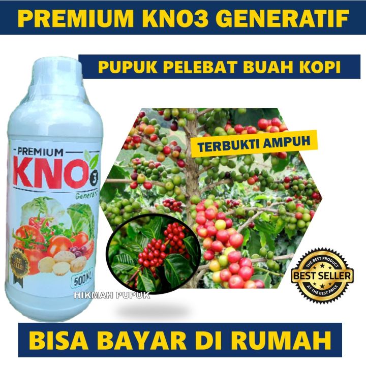 PALING LARIS PUPUK KNO3 GENERATIF Penyubur BUAH KOPI PALING AMPUH