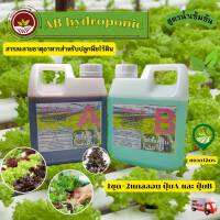 *ค่าส่งถูก* สารละลาย AB (1000mlx2ขวด)ไฮโดรโปนิกส์ เอบี ธาตุอาหาร ผักไฮโดร Hydroponics ผักสลัด ผักไทย ผักจีน clearance New